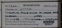Image Associated With the Occurence